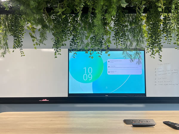 iiyama interactive display running Mago Pro collaboration software in Synextra’s open-plan collaboration space with hanging greenery.